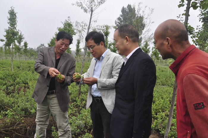 华州区科协举办全国科普日系列活动之四中药材种植技术培训会