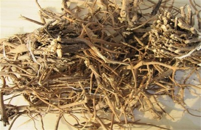 柴胡的种植时间及办法——中草药种植详解